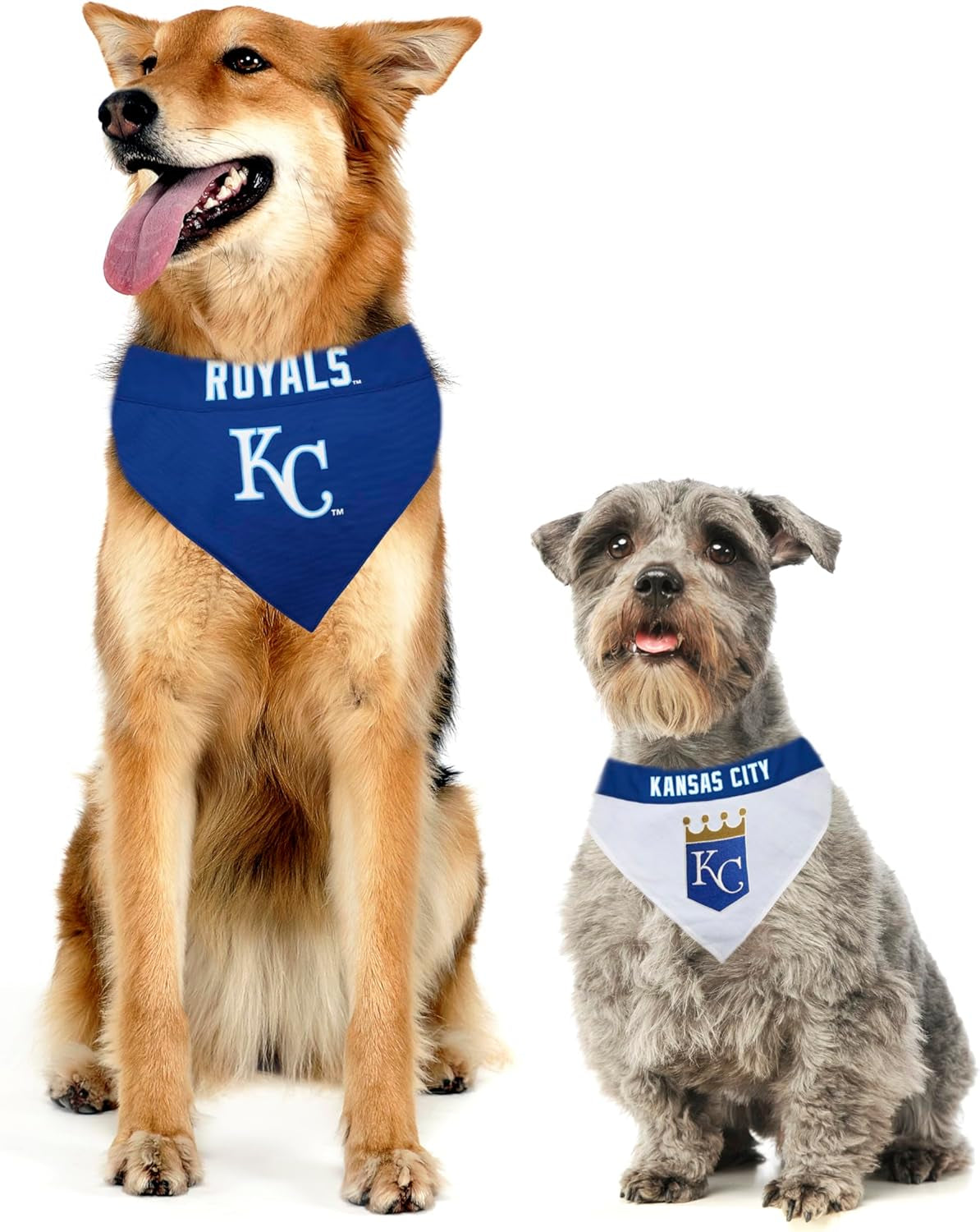 ROY-3217-L-XL MLB Kansas City Royals Reversible Pet Bandana, Large/X-Large, MLB Team Color