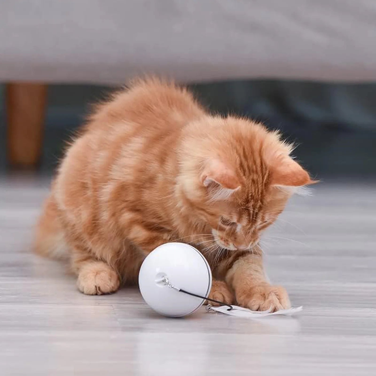 Electric Cat Ball Toys, Interactive Self Auto Rotating Intelligent Cat Ball Toys for Pet Dogs, Cats, Smart Indoor Rolling Cat Toy for Home Bedroom