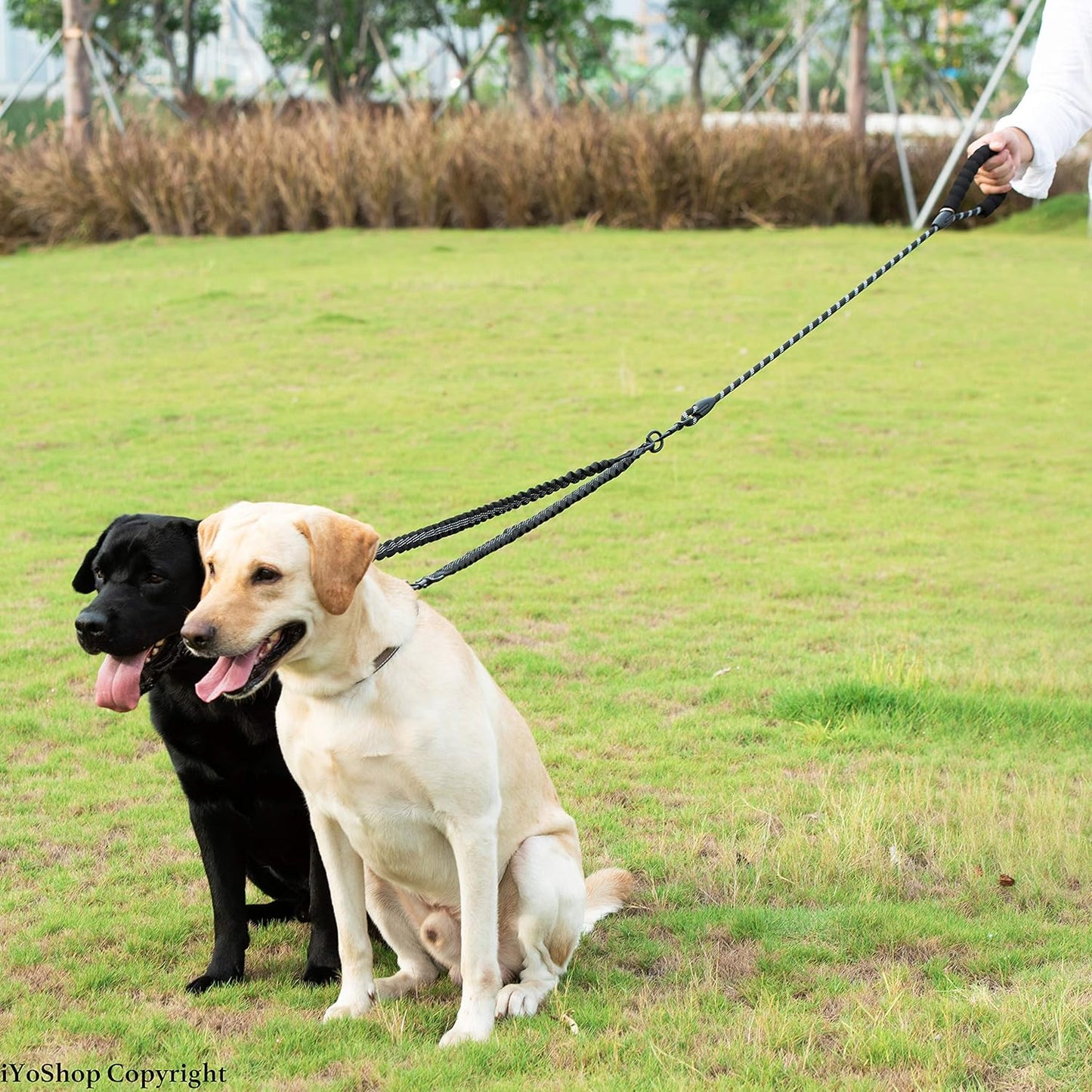 Dual Dog Leash, Double Dog Leash, 360 Swivel No Tangle Walking Leash, Shock Absorbing Bungee for Two Dogs, Black, Large (25-150 Lbs)