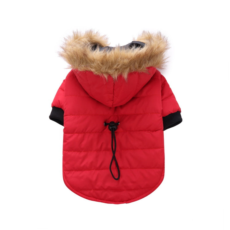 Winter Clothing for Pets