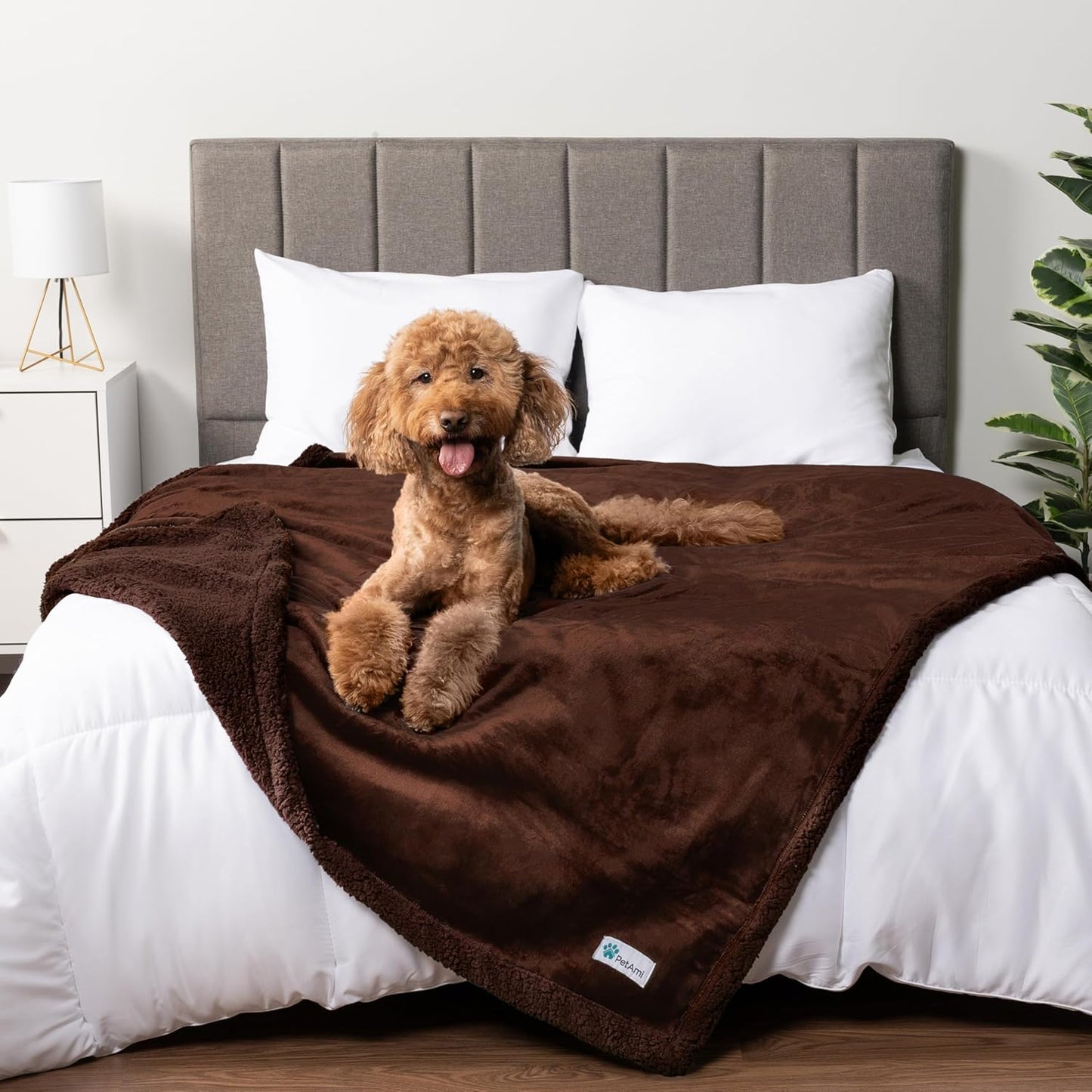 WATERPROOF Dog Blanket for Bed, XL Dog Pet Blanket Couch Cover Protection, Sherpa Fleece Leakproof Bed Blanket for Crate Kennel Sofa Furniture Protector, Reversible Soft Plush 80X60 Brown Brown