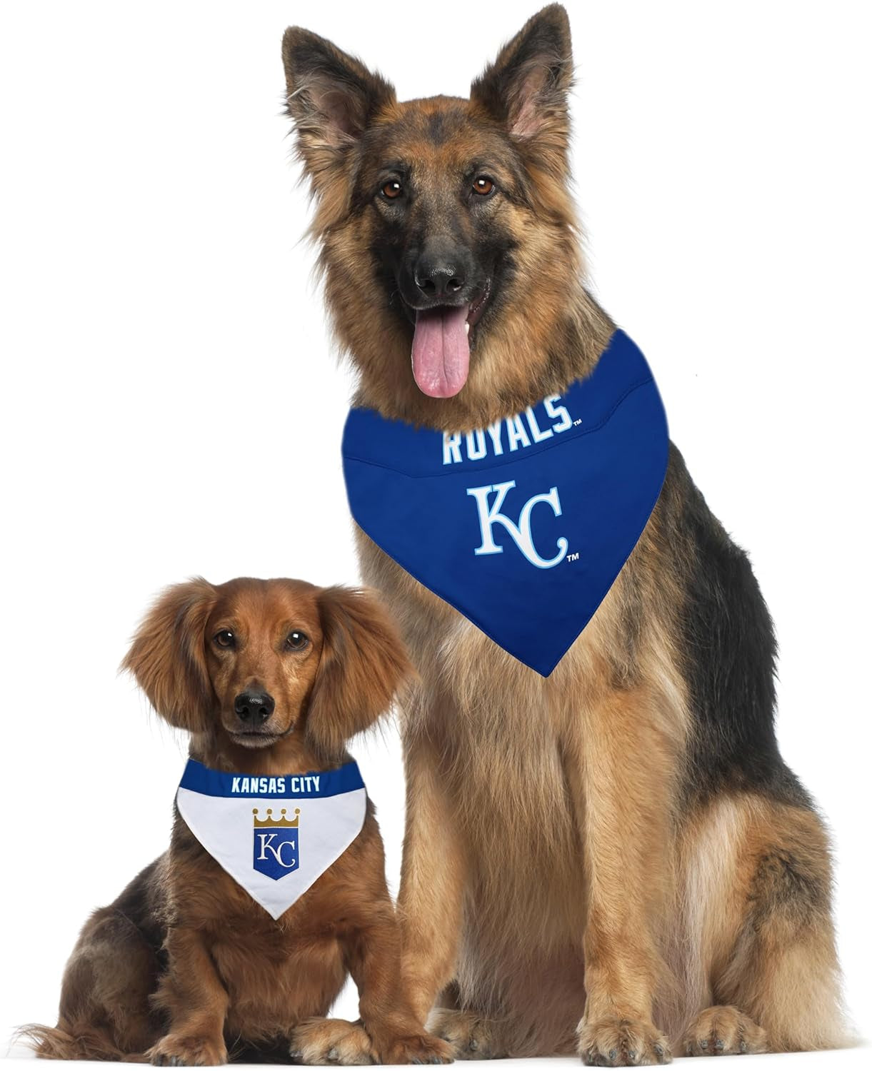 ROY-3217-L-XL MLB Kansas City Royals Reversible Pet Bandana, Large/X-Large, MLB Team Color