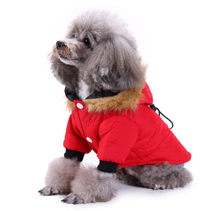 Winter Clothing for Pets